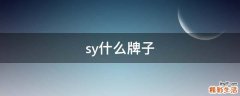 sy什么牌子