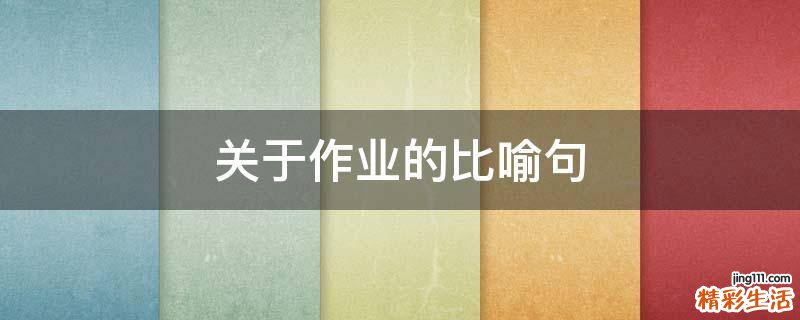 关于作业的比喻句