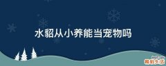 水貂从小养能当宠物吗