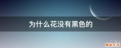 为什么花没有黑色的