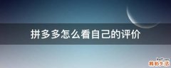 拼多多怎么看自己的评价