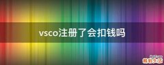 vsco注册了会扣钱吗