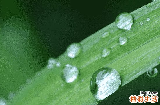 谷雨吃什么 有关谷雨节气农事谚语