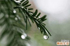 关于谷雨的习俗 谷雨节气的习俗盘点