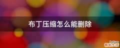布丁压缩怎么能删除