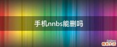 手机nnbs能删吗