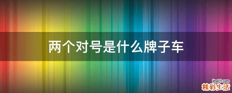 两个对号是什么牌子车