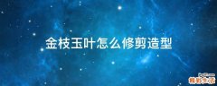 金枝玉叶怎么修剪造型