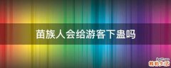 苗族人会给游客下蛊吗