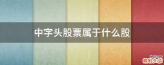 中字头股票属于什么股