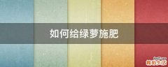 如何给绿萝施肥