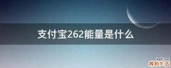支付宝262能量是什么