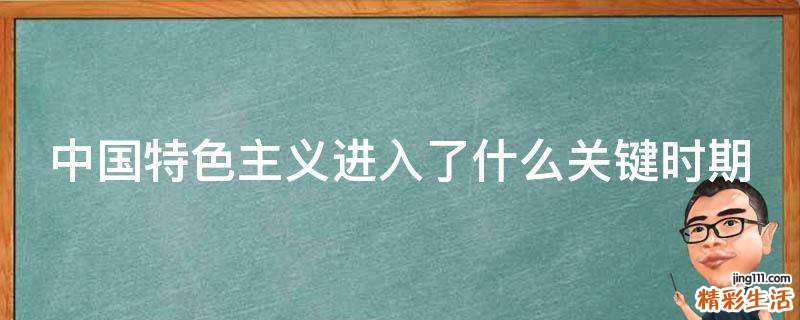 中国特色主义进入了什么关键时期
