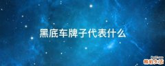 黑底车牌子代表什么