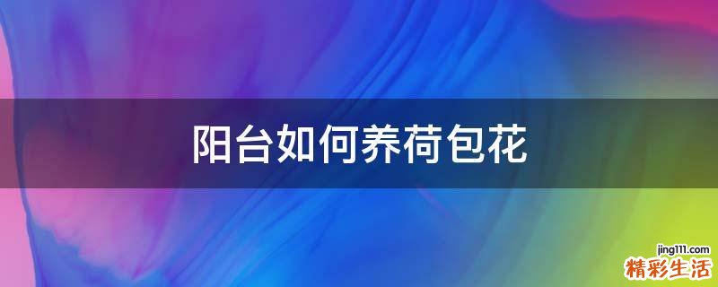 阳台如何养荷包花
