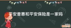 平安普惠和平安保险是一家吗