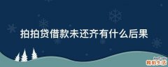 拍拍贷借款未还齐有什么后果