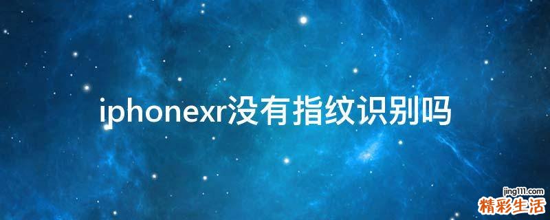 iphonexr没有指纹识别吗