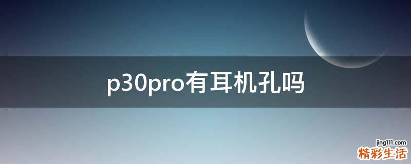 p30pro有耳机孔吗