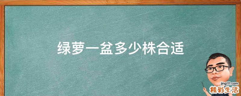 绿萝一盆多少株合适