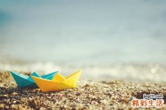 什么东西泡茶养胃