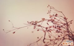 附睾炎 急性慢性要分清