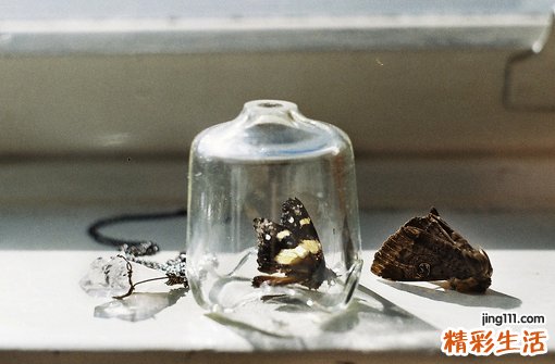 4 有效缓解白领腰疼方法