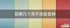 花呗几个月不还会怎样