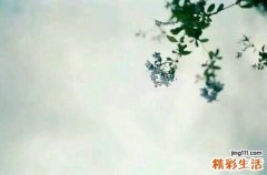 2 都市白领告别职场强迫症秘笈