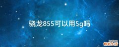 骁龙855可以用5g吗