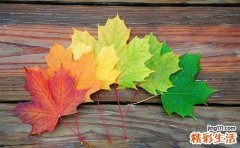 女性私处体毛过多或是疾病征兆