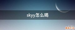 skyy怎么喝