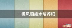 一帆风顺能水培养吗