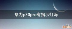 华为p30pro有指示灯吗