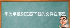 华为手机浏览器下载的文件在哪里