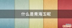 什么是青海玉呢