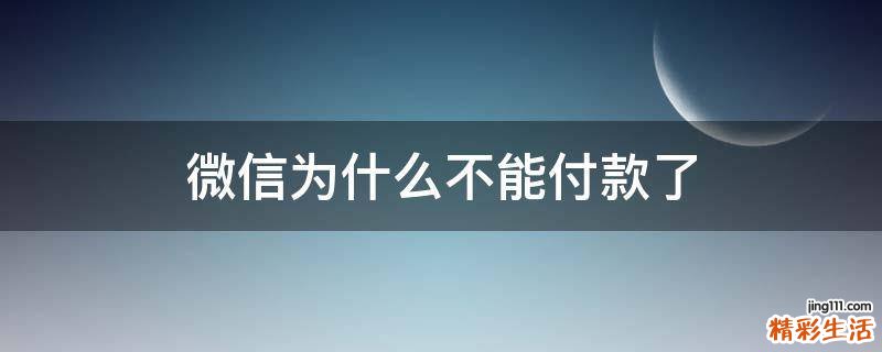 微信为什么不能付款了