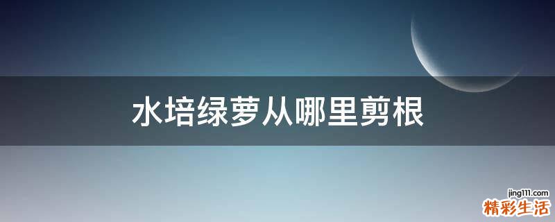 水培绿萝从哪里剪根