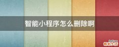 智能小程序怎么删除啊