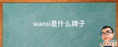 wansi是什么牌子