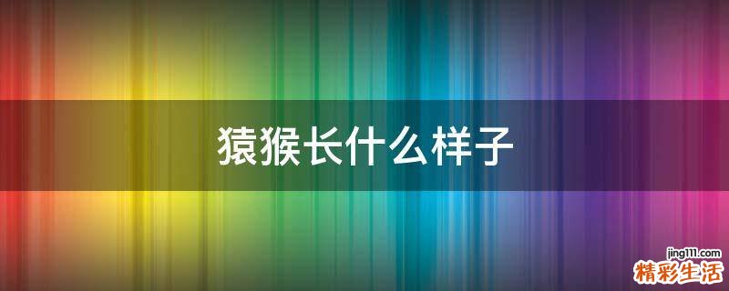 猿猴长什么样子