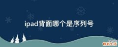 ipad背面哪个是序列号