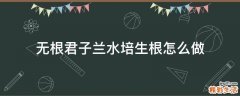 无根君子兰水培生根怎么做