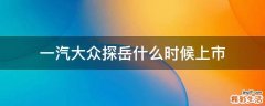 一汽大众探岳什么时候上市