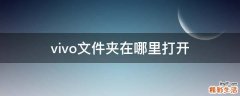 vivo文件夹在哪里打开