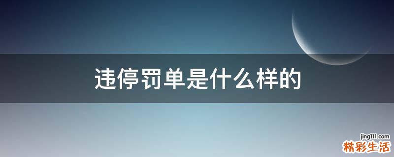违停罚单是什么样的