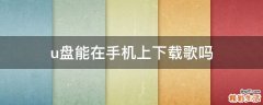 u盘能在手机上下载歌吗