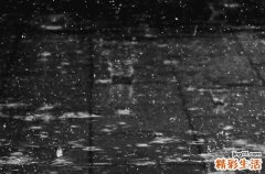 2023年谷雨是几月几号几点几分 2023年谷雨是什么时候开始