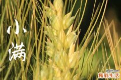 2023年小满几点几分