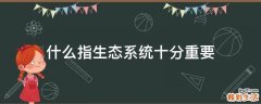什么指生态系统十分重要